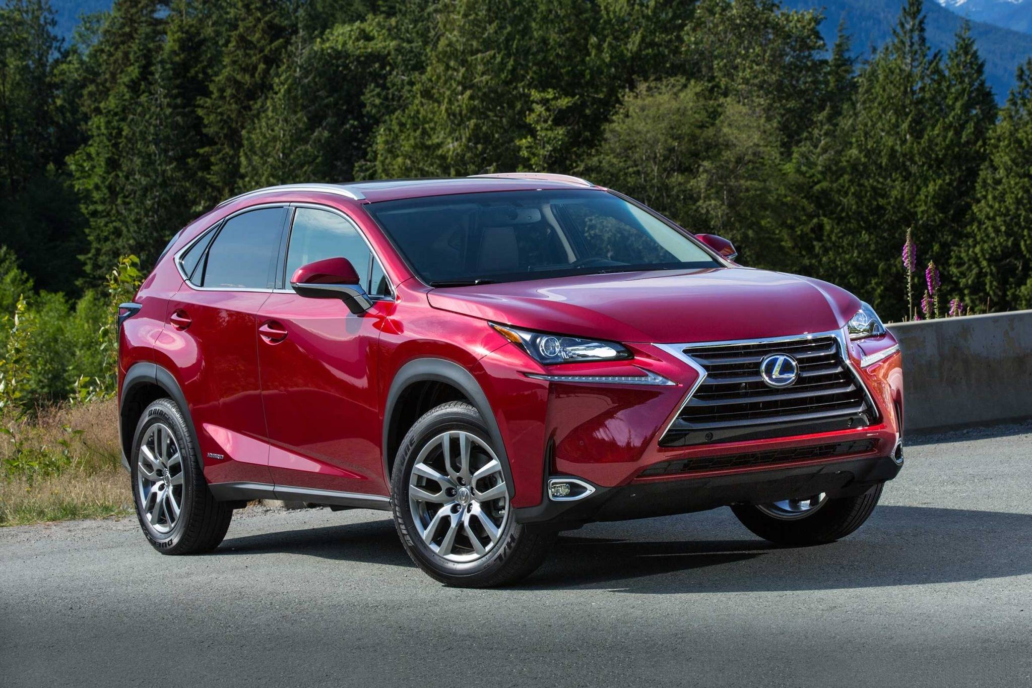 Lexus nx 300h 2018